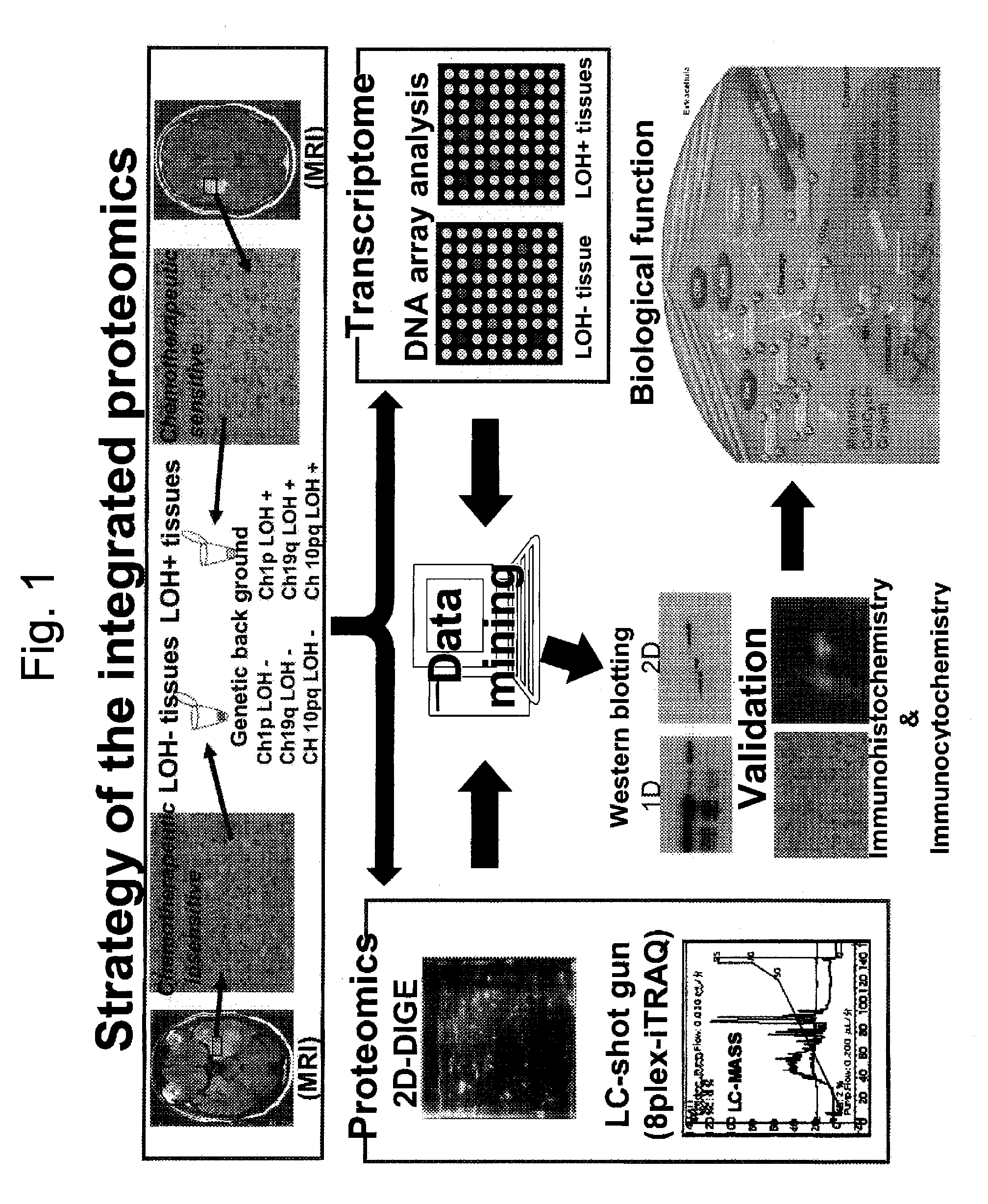 Method for generating data set for integrated proteomics, integrated proteomics method using data set for integrated proteomics that is generated by the generation method, and method for identifying causative substance using same