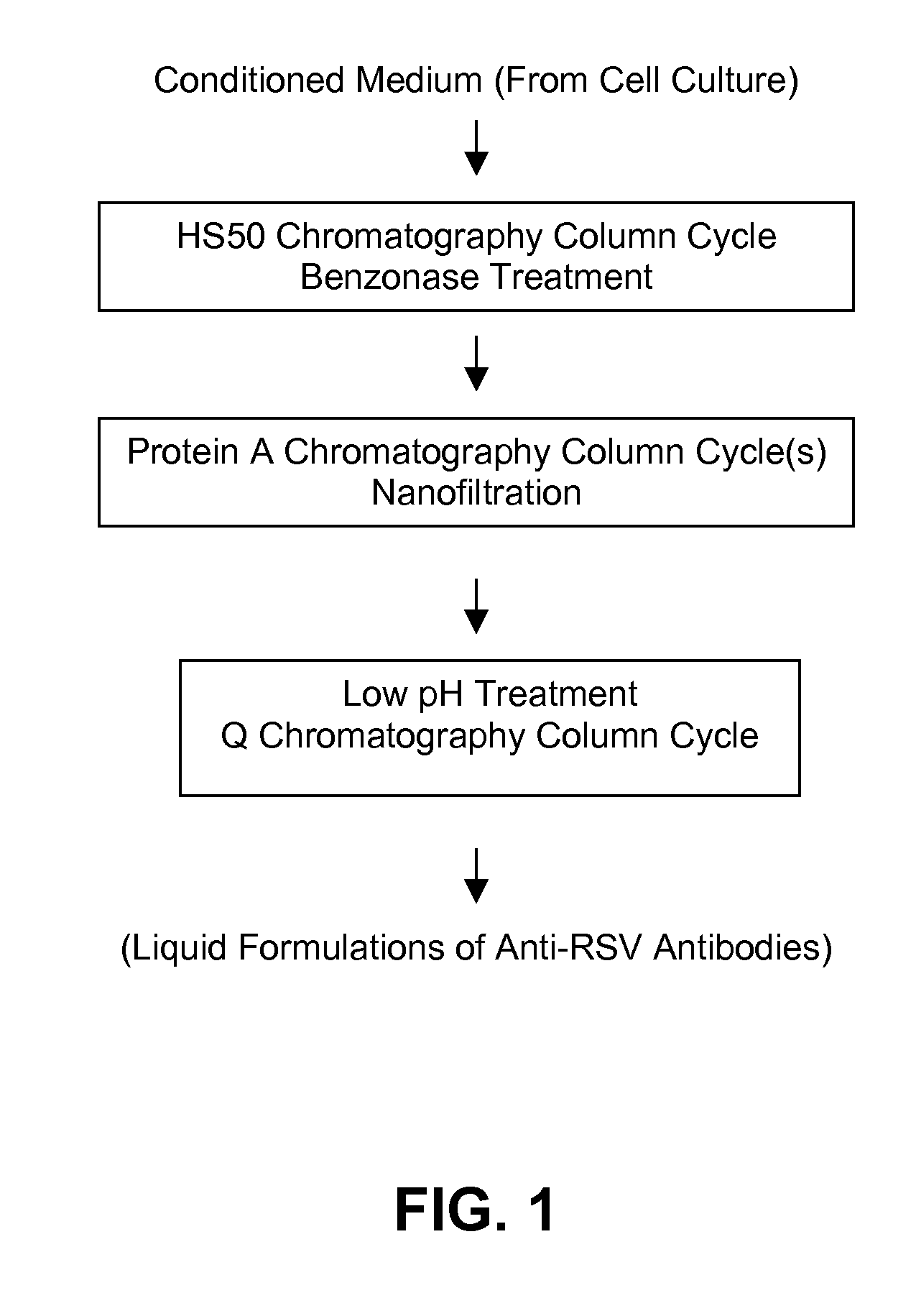 Antibody formulations having optimized aggregation and fragmentation profiles