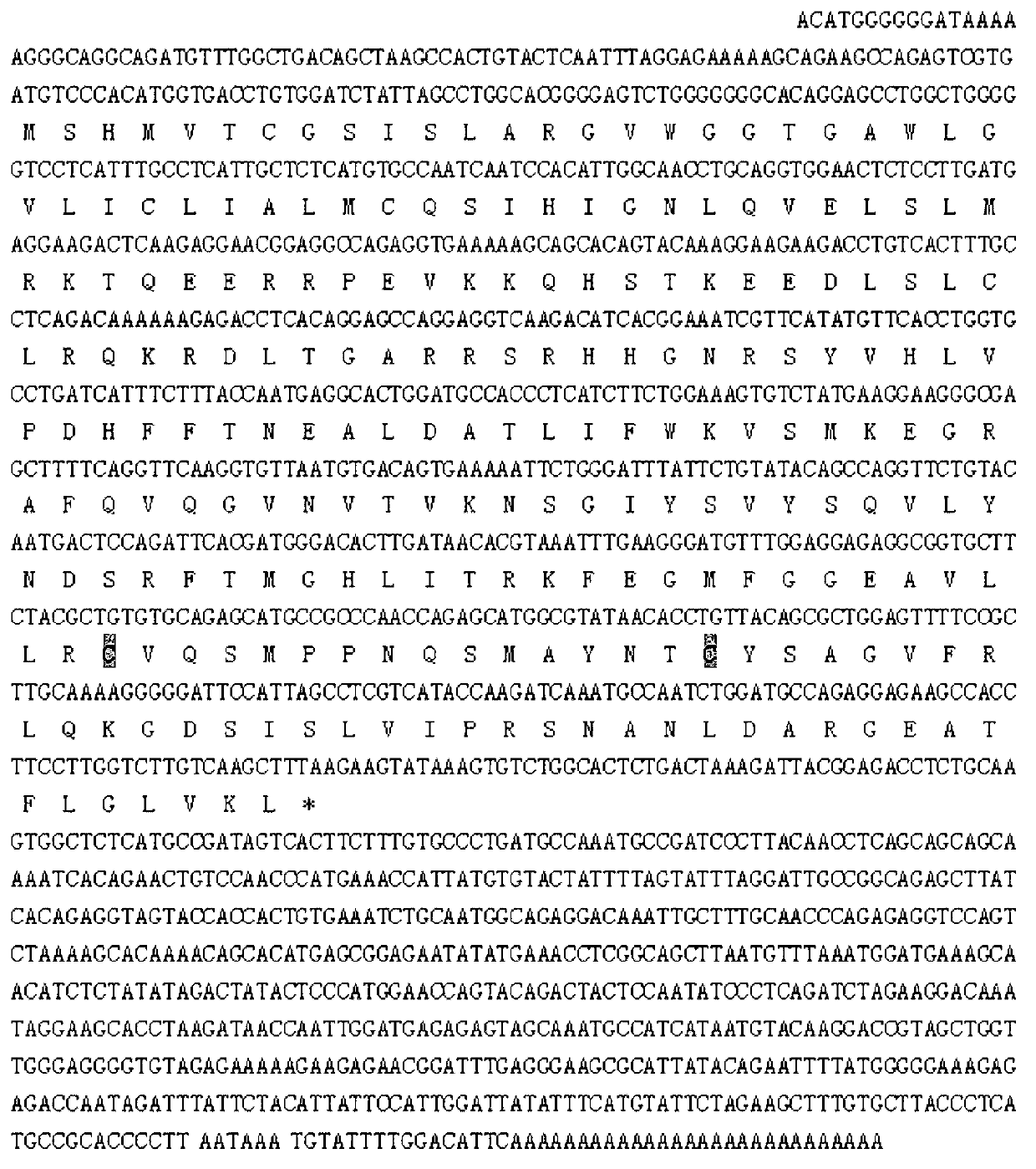 Preparation and application of African clawed frog proliferation induction ligand TNFSF13 gene and protein