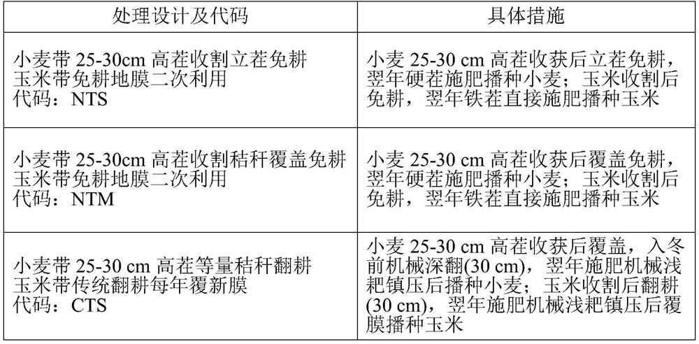 A kind of wheat intercropping corn planting method