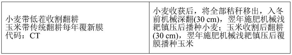 A kind of wheat intercropping corn planting method