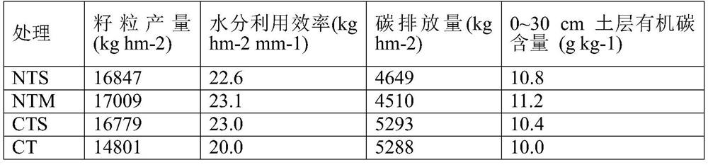 A kind of wheat intercropping corn planting method