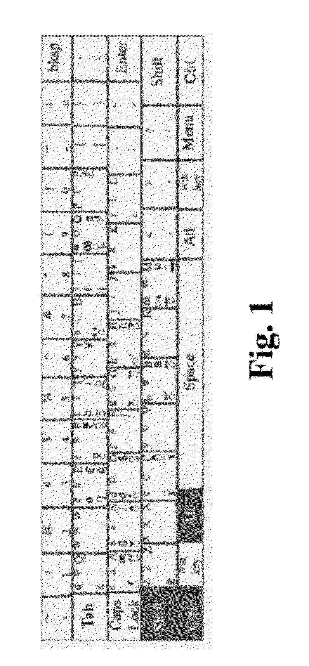 Linguistic Script Text Input Mechanism