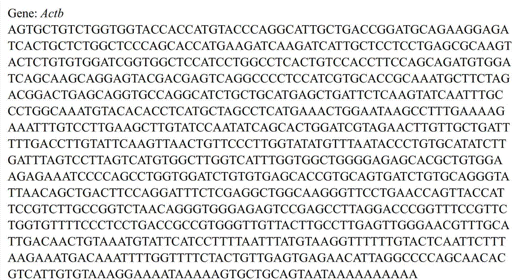 Composition and method for site-specific recombination in hamster cells