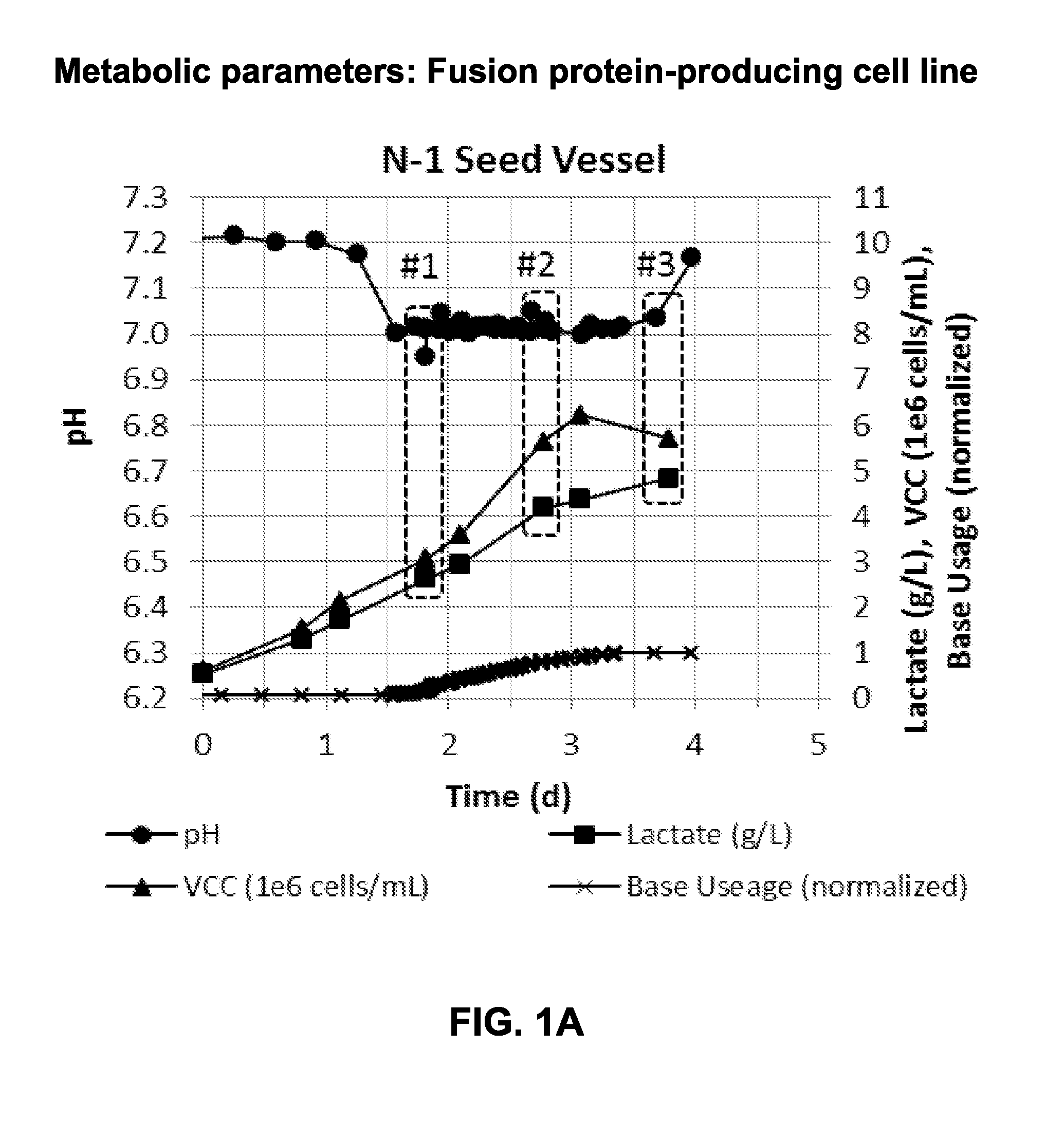 Metabolically optimized cell culture