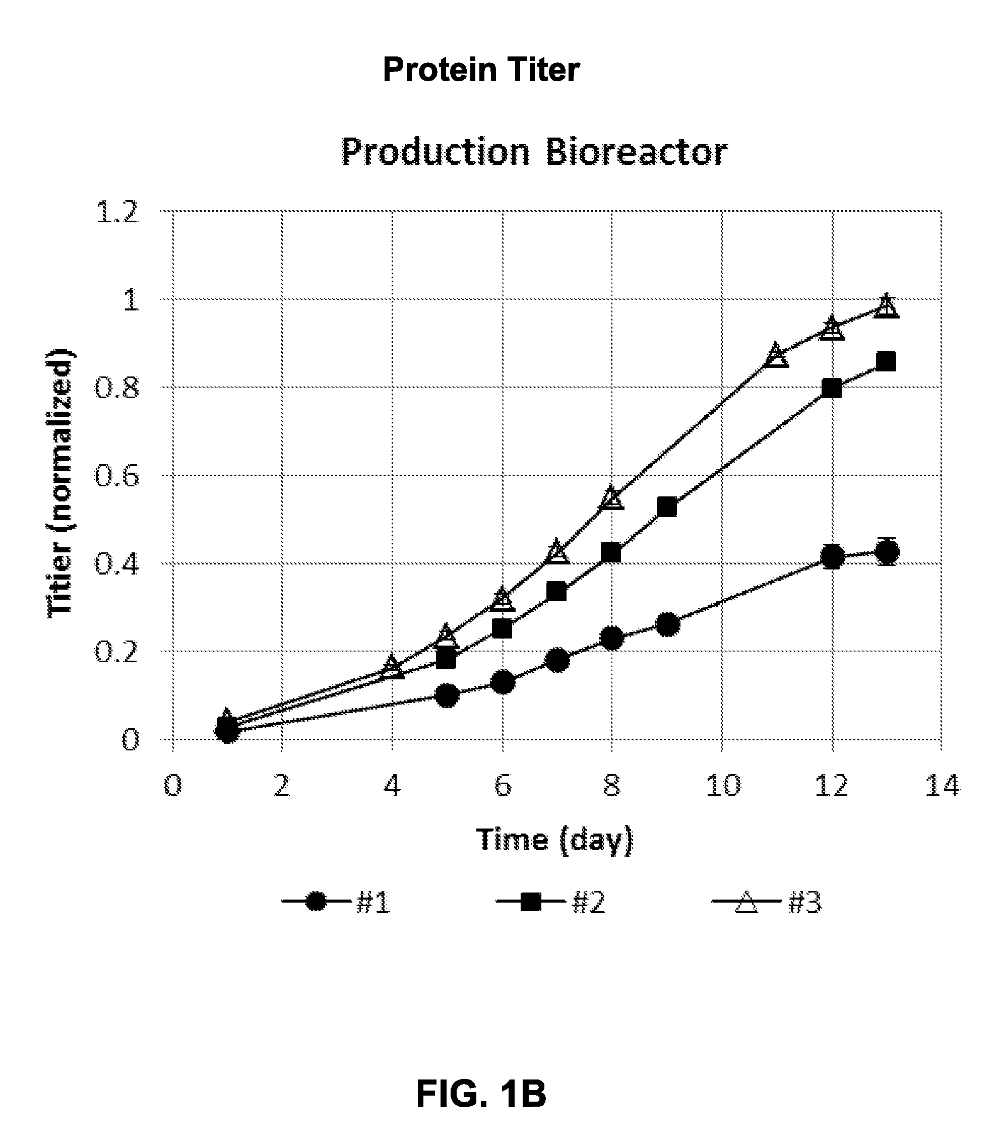 Metabolically optimized cell culture