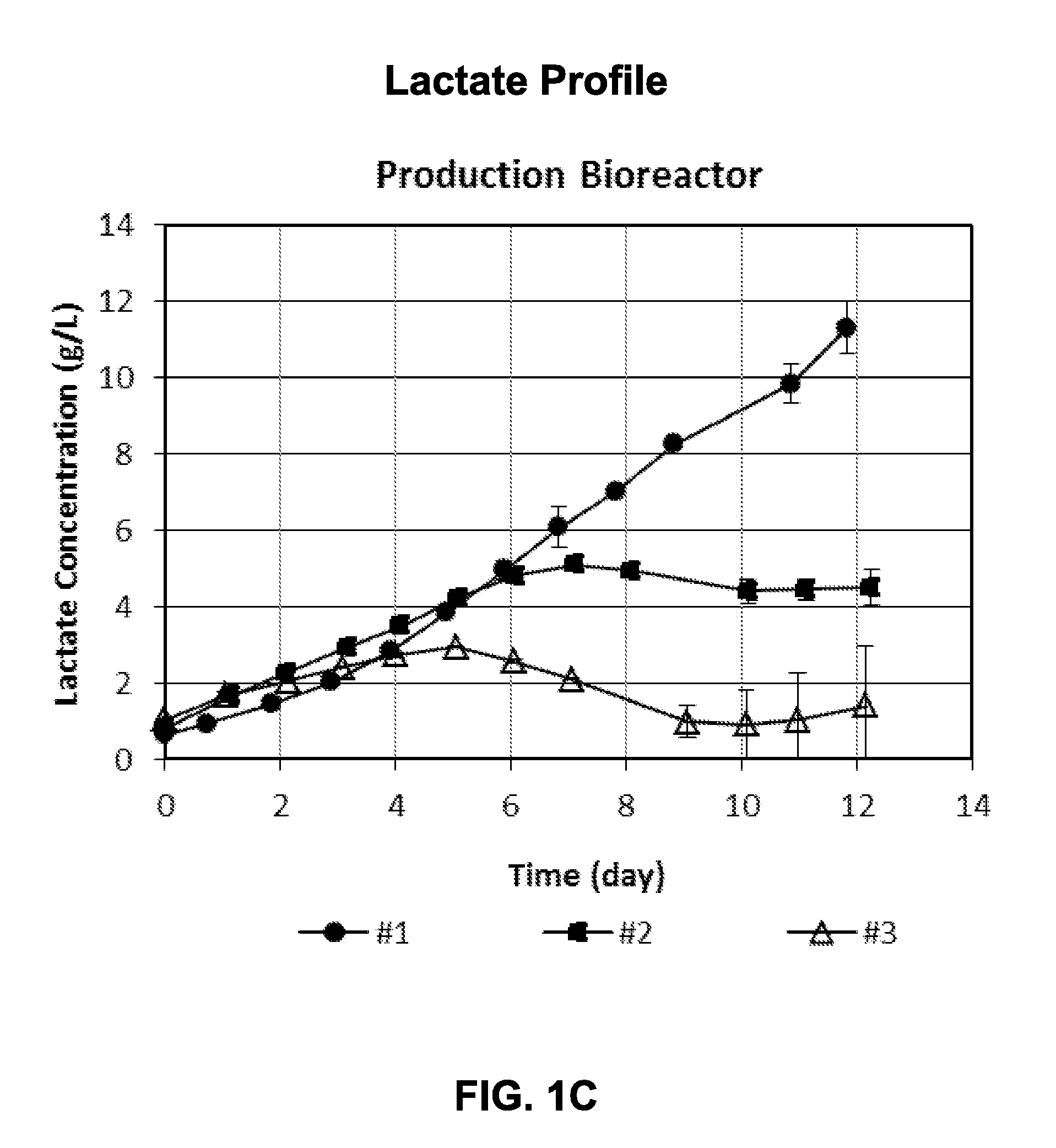 Metabolically optimized cell culture