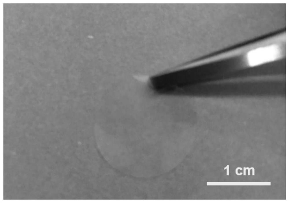 An organic-inorganic composite solid-state electrolyte and its preparation method and application