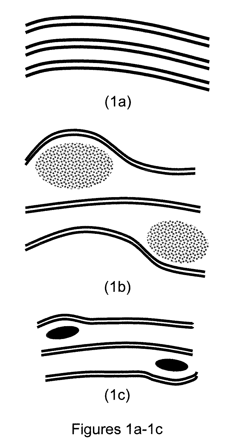 Method for preparing anisotropic particles and devices thereof