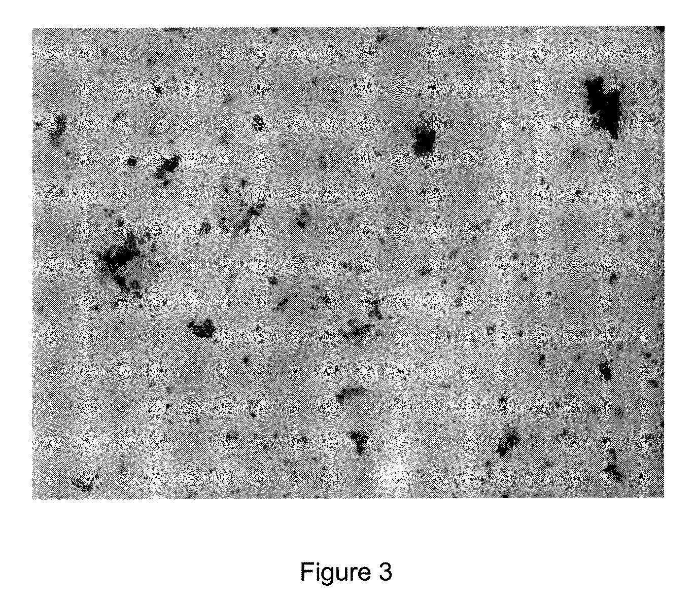 Method for preparing anisotropic particles and devices thereof