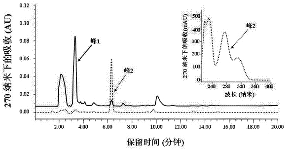 Coriobacterium sp. AUH-Julong21 and use of coriobacterium sp. AUH-Julong21 in liquiritigenin conversion