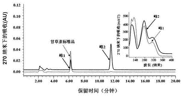 Coriobacterium sp. AUH-Julong21 and use of coriobacterium sp. AUH-Julong21 in liquiritigenin conversion