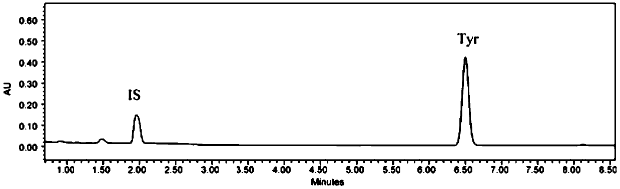 Method for detecting content of tyramine in fermented sauce