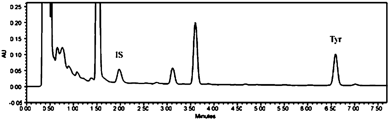 Method for detecting content of tyramine in fermented sauce