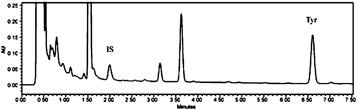 Method for detecting content of tyramine in fermented sauce