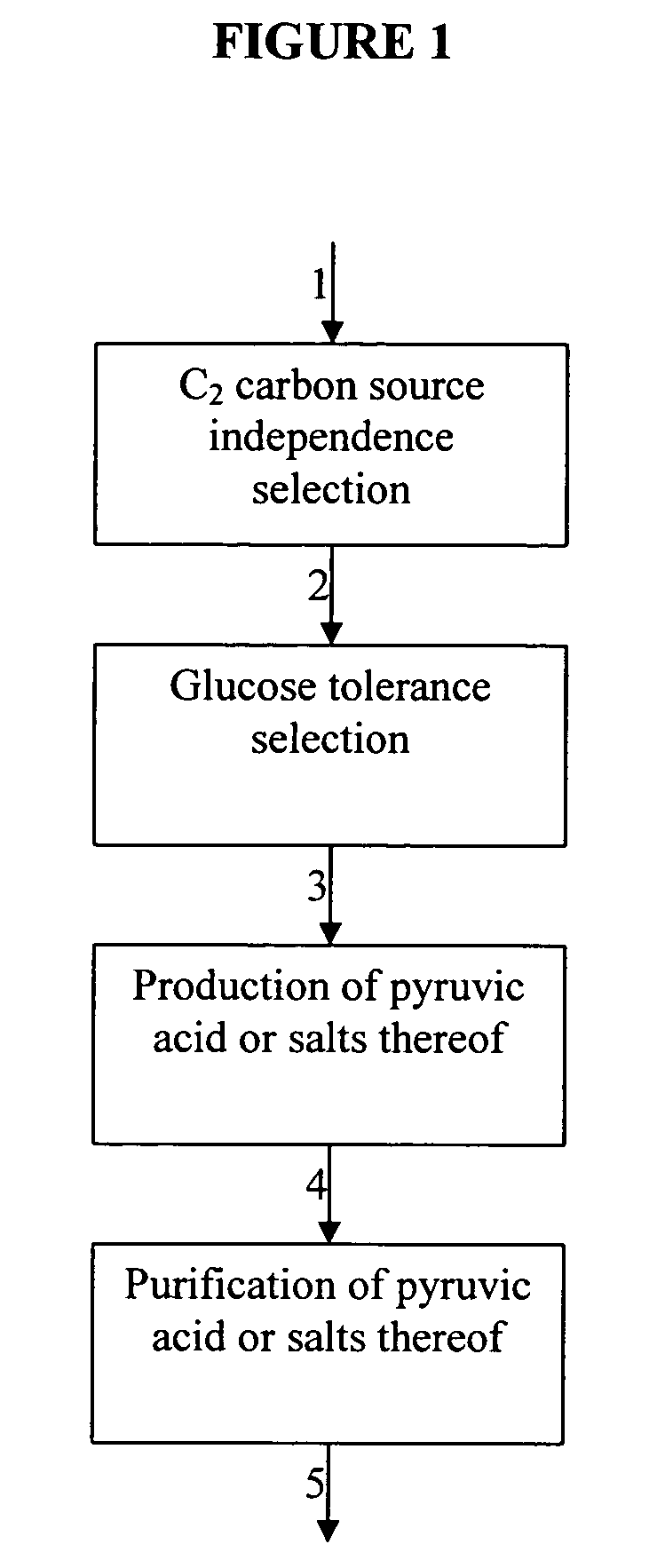 Pyruvate producing yeast strain