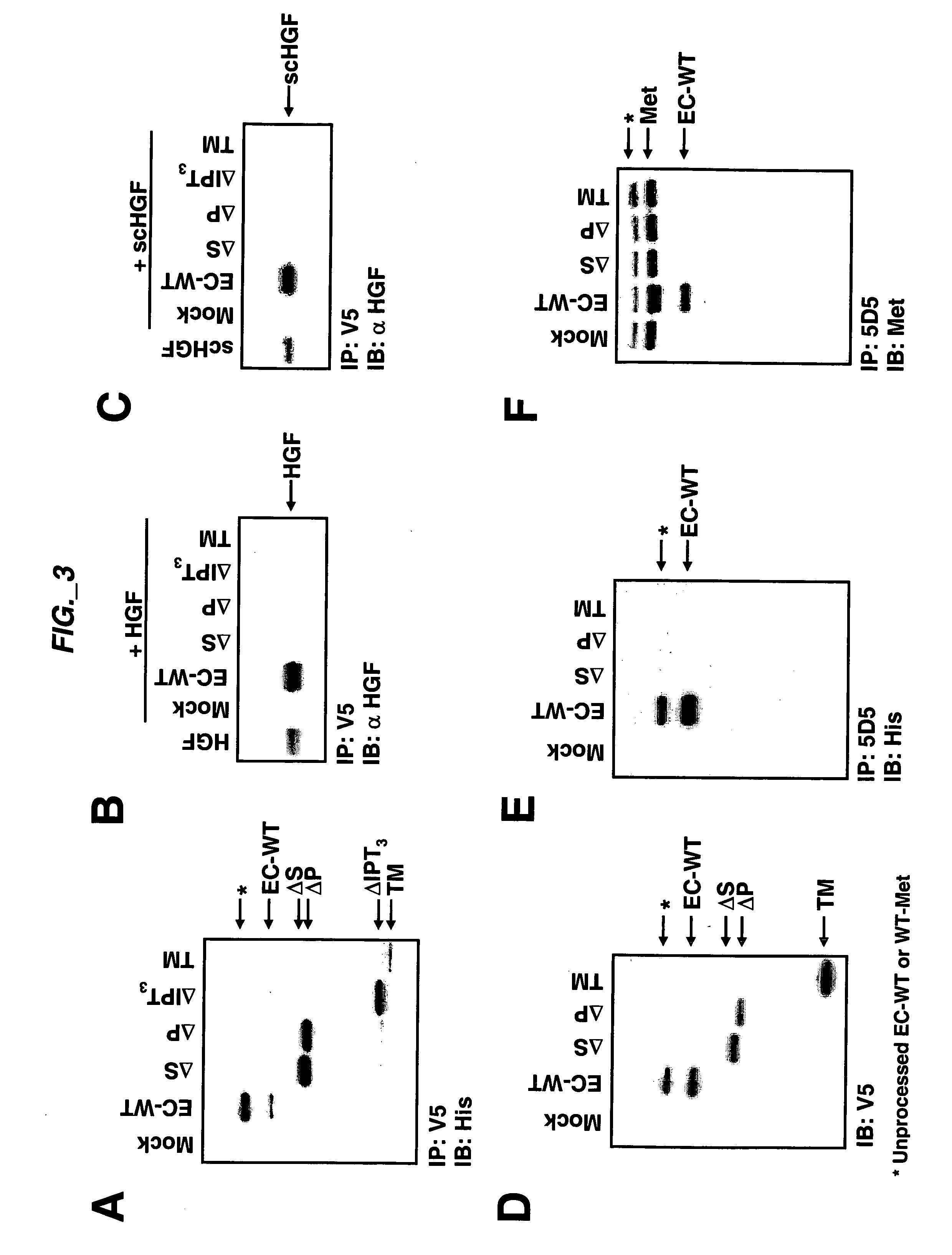 Methods and compositions for inhibiting c-met dimerization and activation