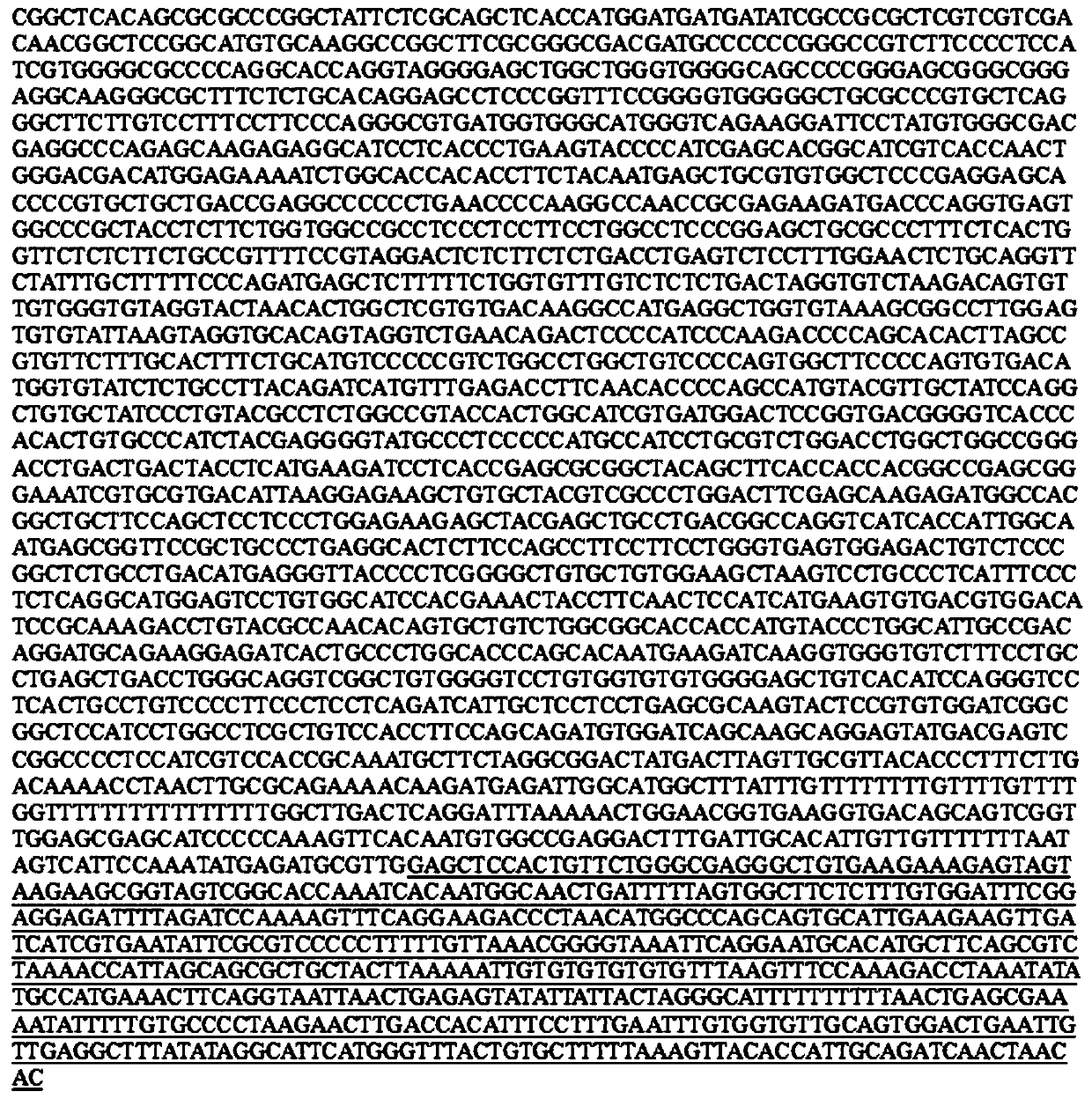 DNA molecular weight standard suitable for brittle X syndrome southern blot hybridization detection