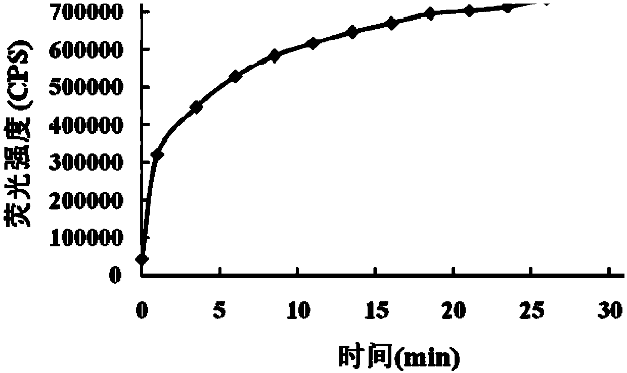 Fluorescent probe for recognition of mercury ions based on high selectivity of thiocarbonate