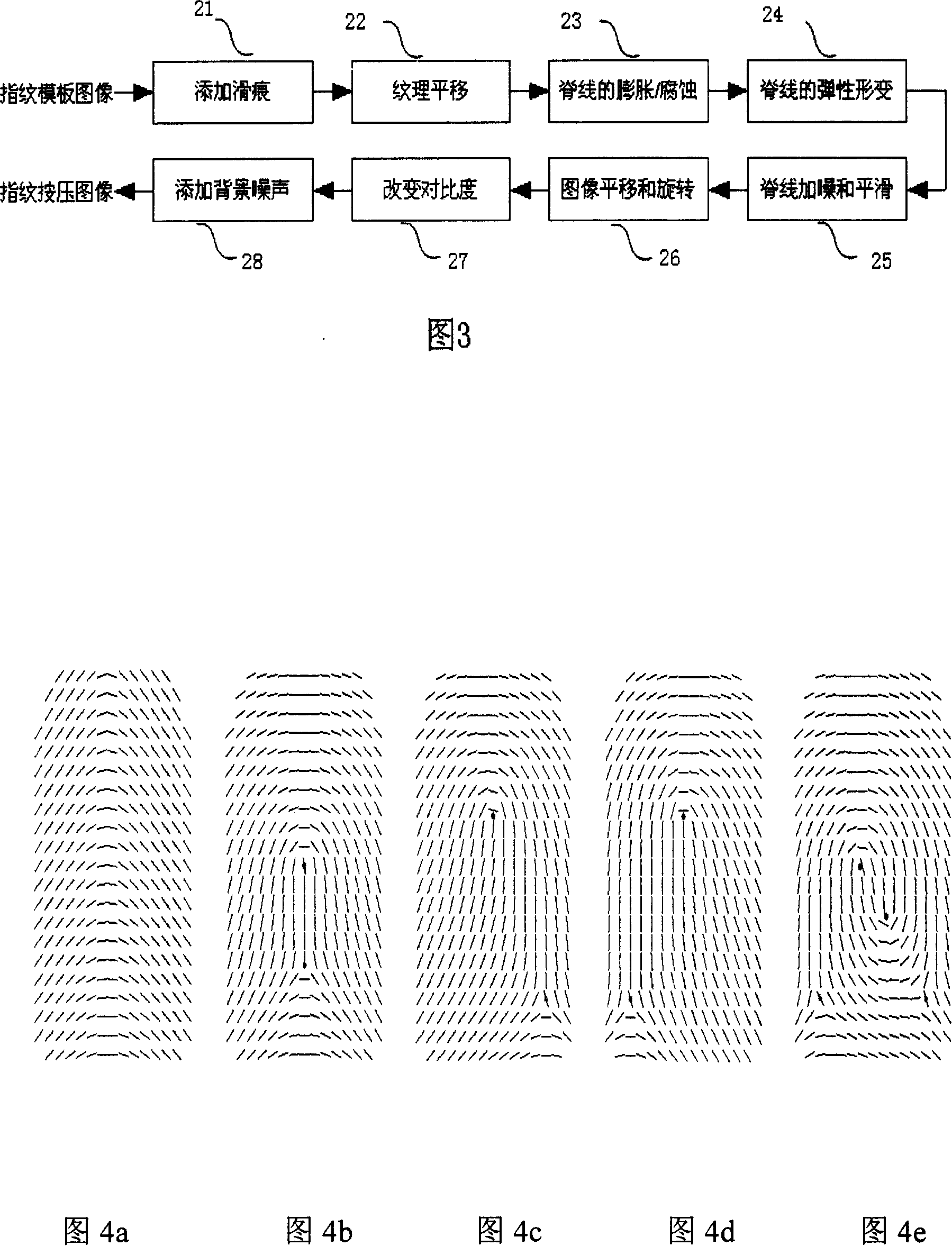 Fingerprint synthesis method based on orientation field model and Gabor filter