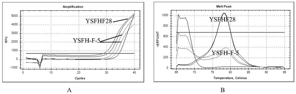 Kit for detecting Hantaan-type hantavirus and detection method thereof