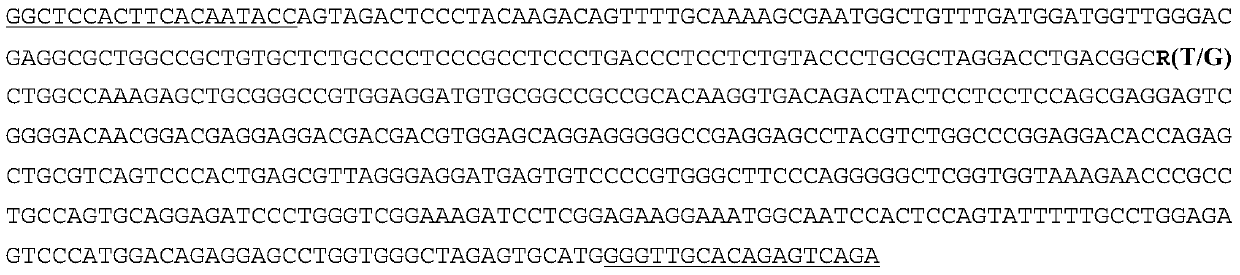 Application of a Molecular Marker in Association Analysis of Milk Yield and Protein Content Traits in Dairy Cows