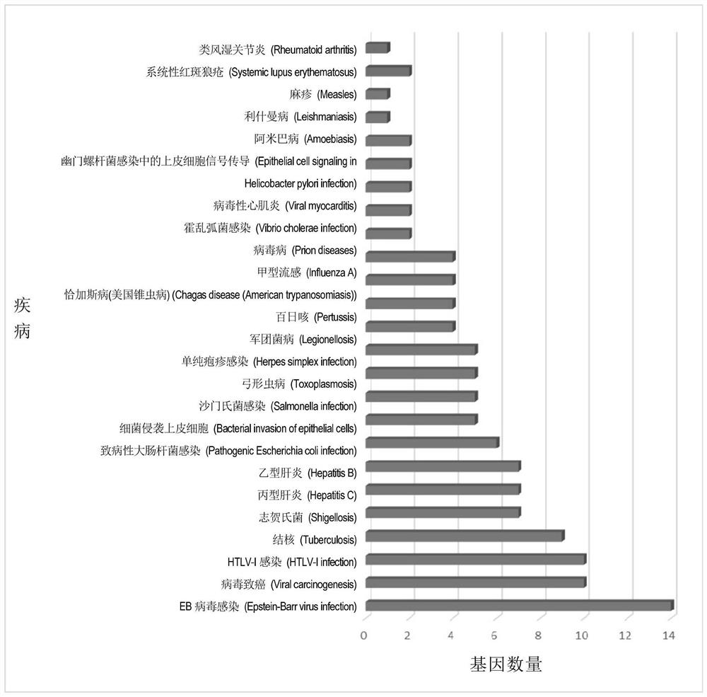 Bitterness receptor agonist and application thereof in prevention and treatment of SARS-CoV-2 related infectious diseases