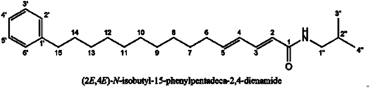 Piper laetispicum extract as well as preparation method and application thereof