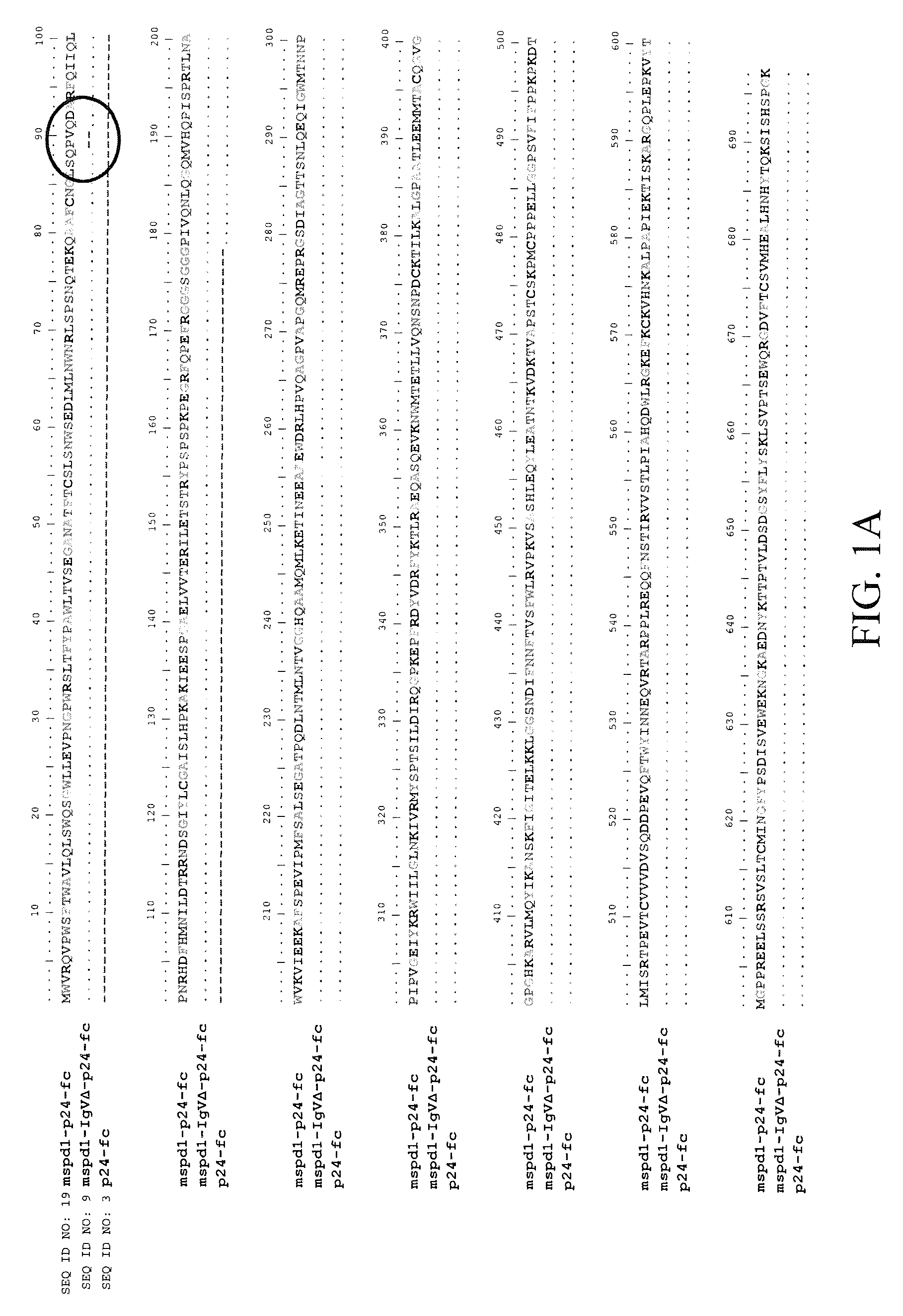 Soluble PD-1 variants, fusion constructs, and uses thereof