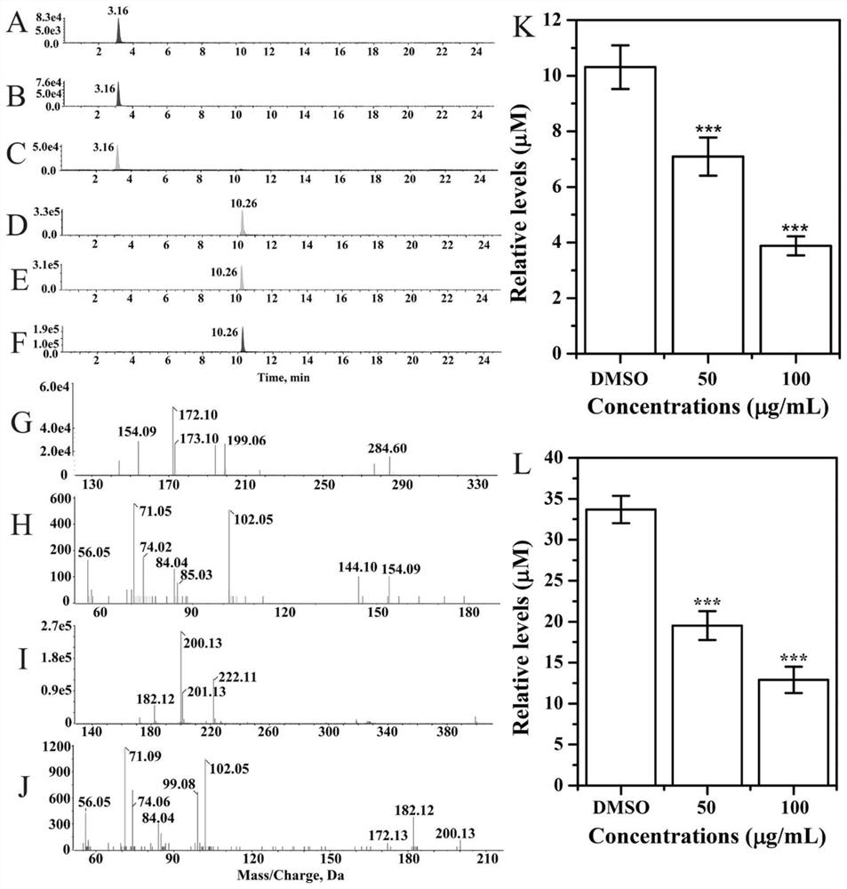 Application of pelargonidin 3-O-rutinoside in preparation of drug for resisting serratia marcescens infection