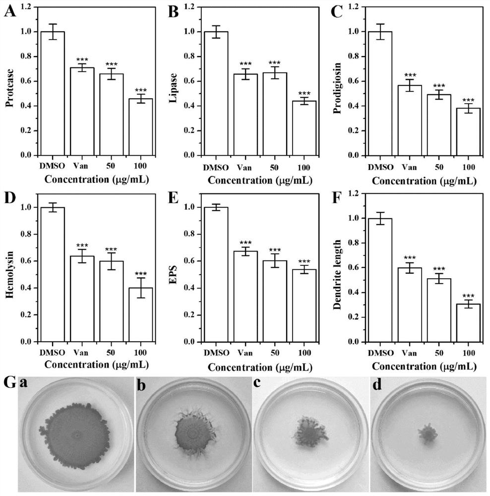 Application of pelargonidin 3-O-rutinoside in preparation of drug for resisting serratia marcescens infection