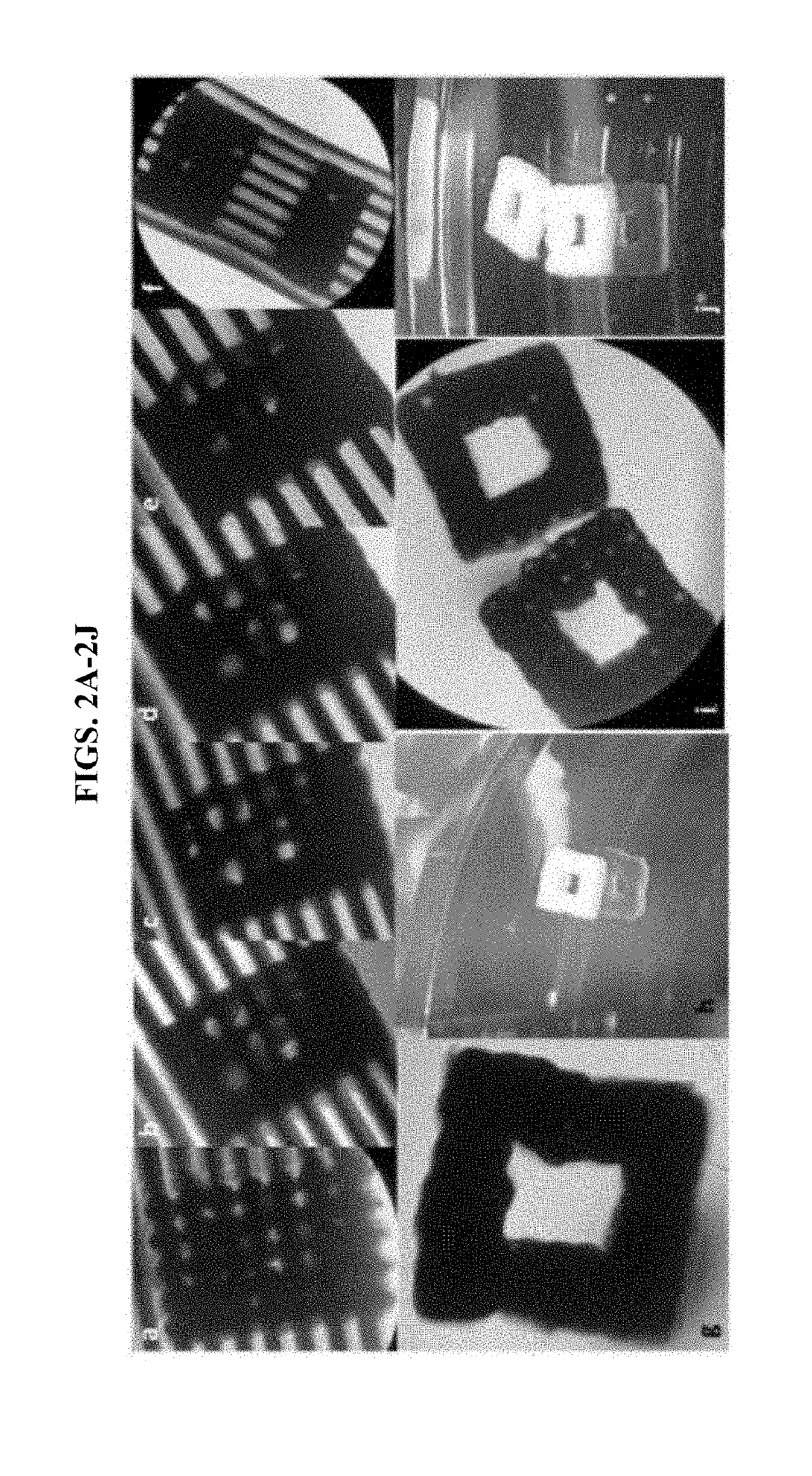 Scaffold-free 3D bioprinting of porcine cells