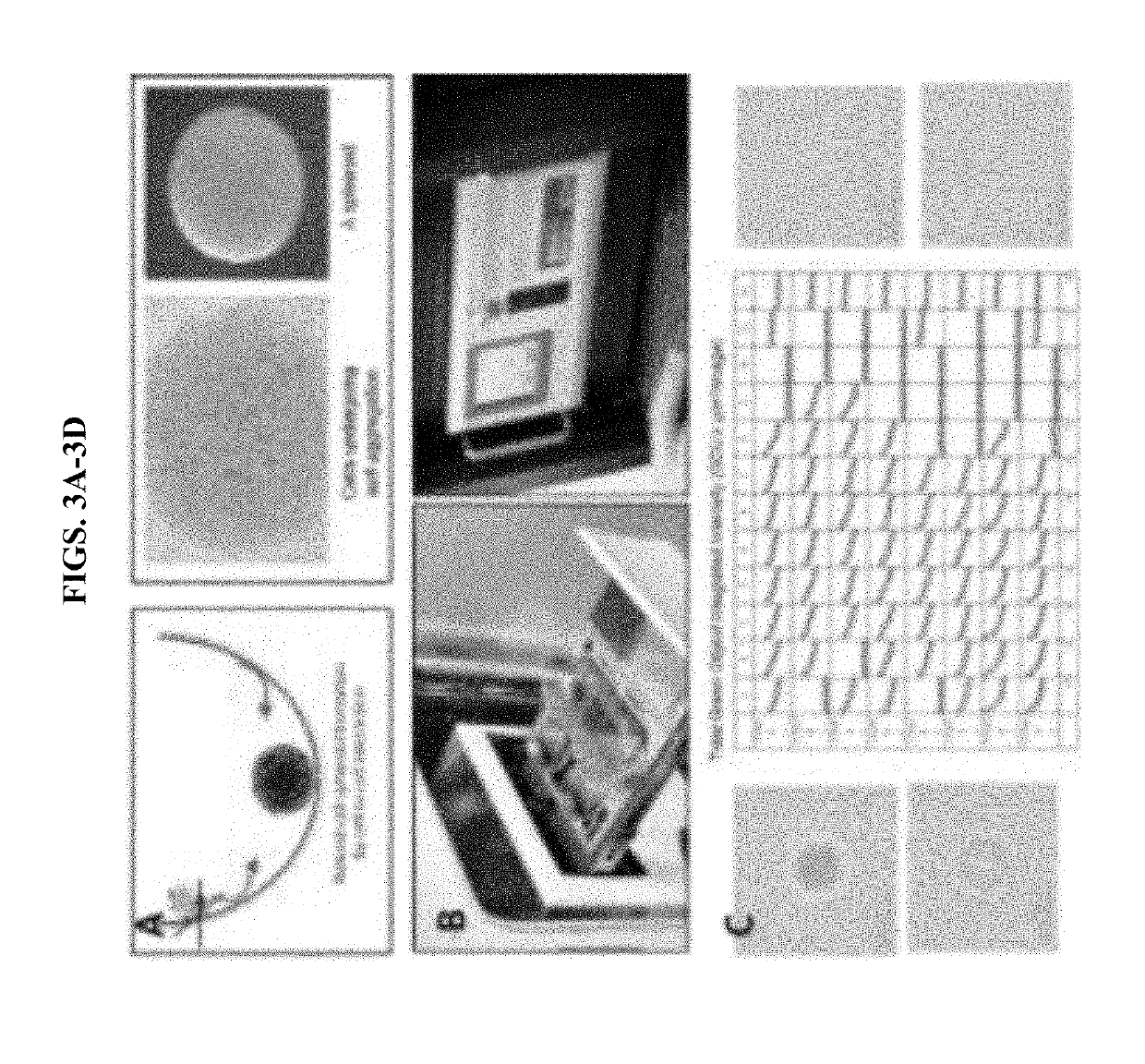 Scaffold-free 3D bioprinting of porcine cells