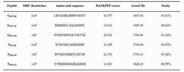 Rabies virus glycoprotein and nucleoprotein antigen epitope polypeptides, and screening and identification method and application thereof
