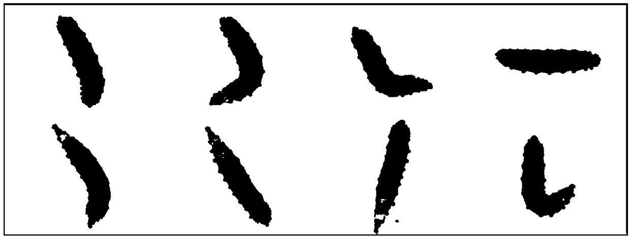 Drosophila larva body segment key point positioning method based on cascade posture regression