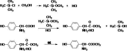 Preparation method of methyl D-4-hydroxy-phenylglycinate and hydrochloride thereof