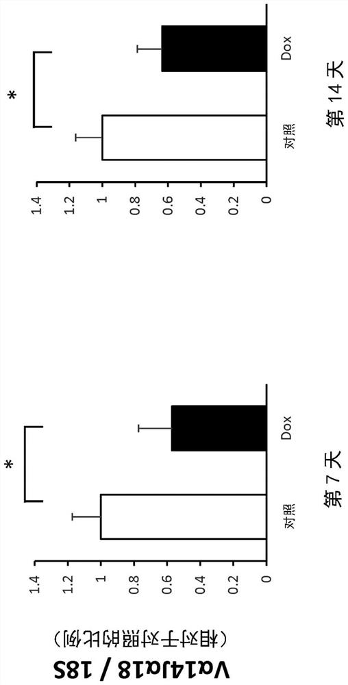 Development of therapy for improving myocardial contraction and method for inhibiting cardiomyocyte death