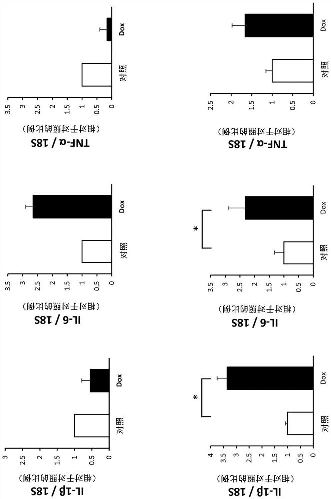 Development of therapy for improving myocardial contraction and method for inhibiting cardiomyocyte death