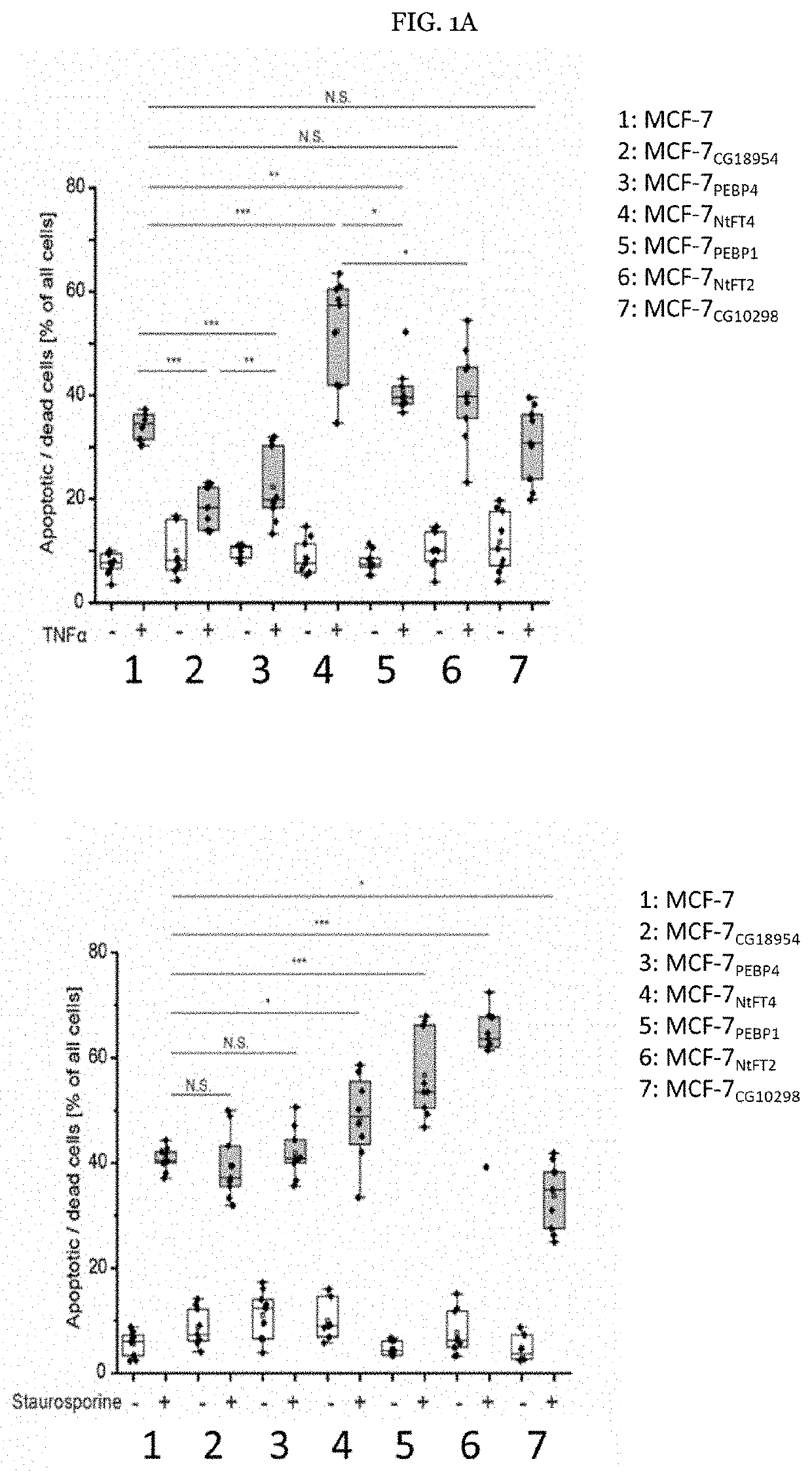 Genetically modified recombinant cell lines