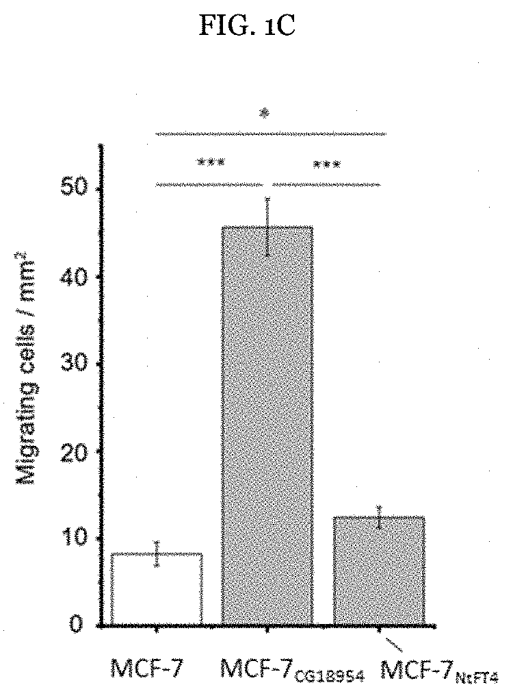 Genetically modified recombinant cell lines