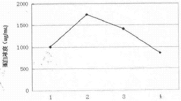 Bone marrow protein and polypeptide ultrafiltration membrane preparation method and application thereof