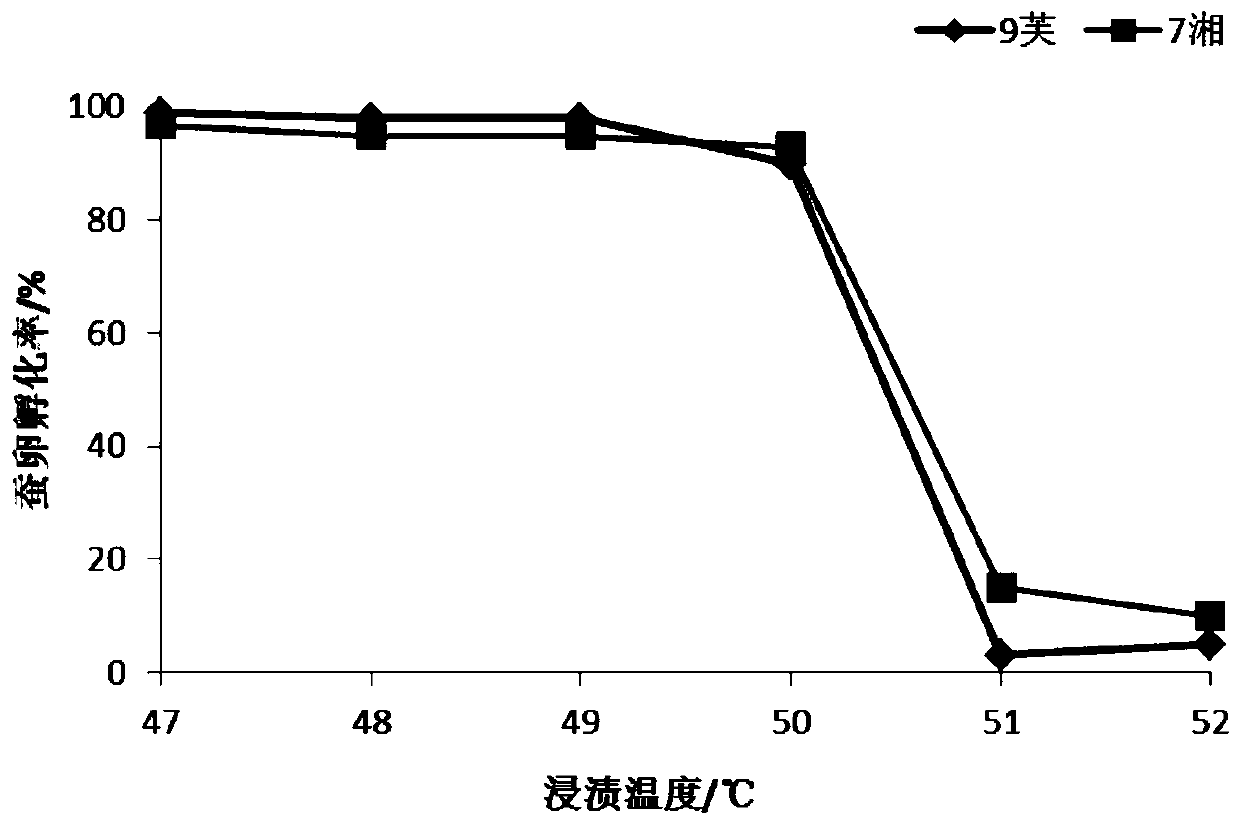 A control method for the vertical transmission of microparticle disease embryos in double-crossed silkworm stock