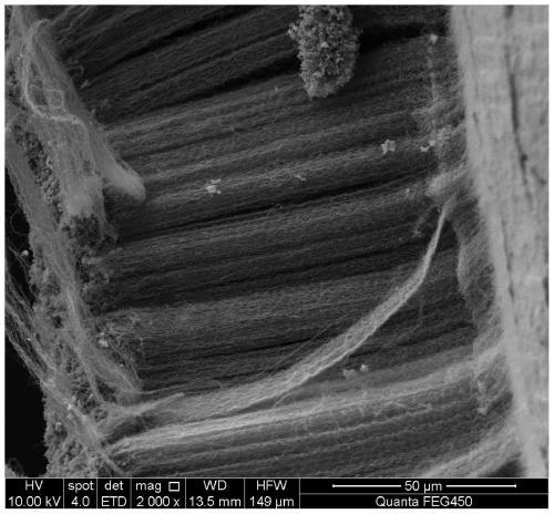 A simple method and application of directly growing carbon nanotube arrays on metal