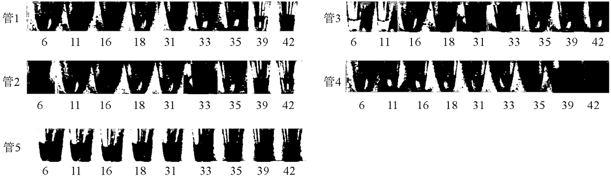 A novel kit and method for typing nine human papillomavirus subtypes