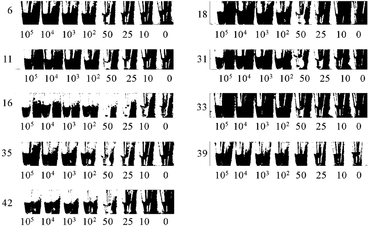 A novel kit and method for typing nine human papillomavirus subtypes