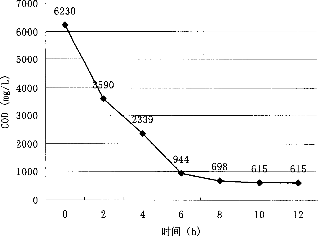 Preparation process of composite medium and use thereof