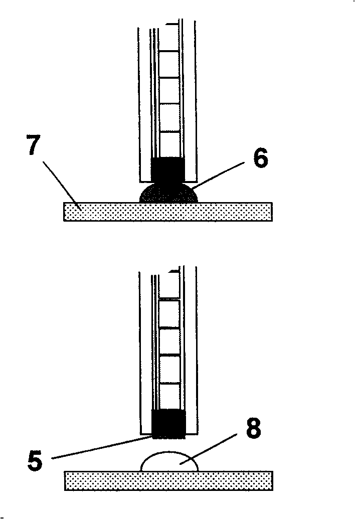 Glucolase electrode based on magnetic carbon nano-tube and preparation method thereof