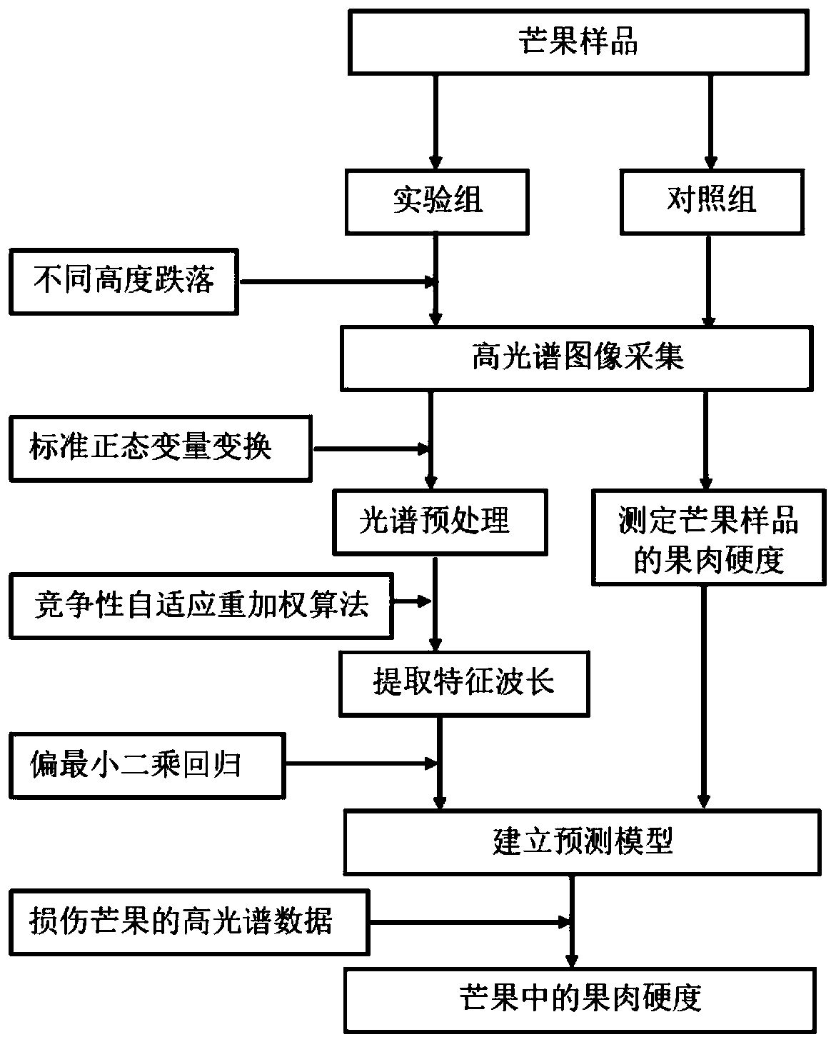 Prediction method of hardness of mango after impact damage based on hyperspectral