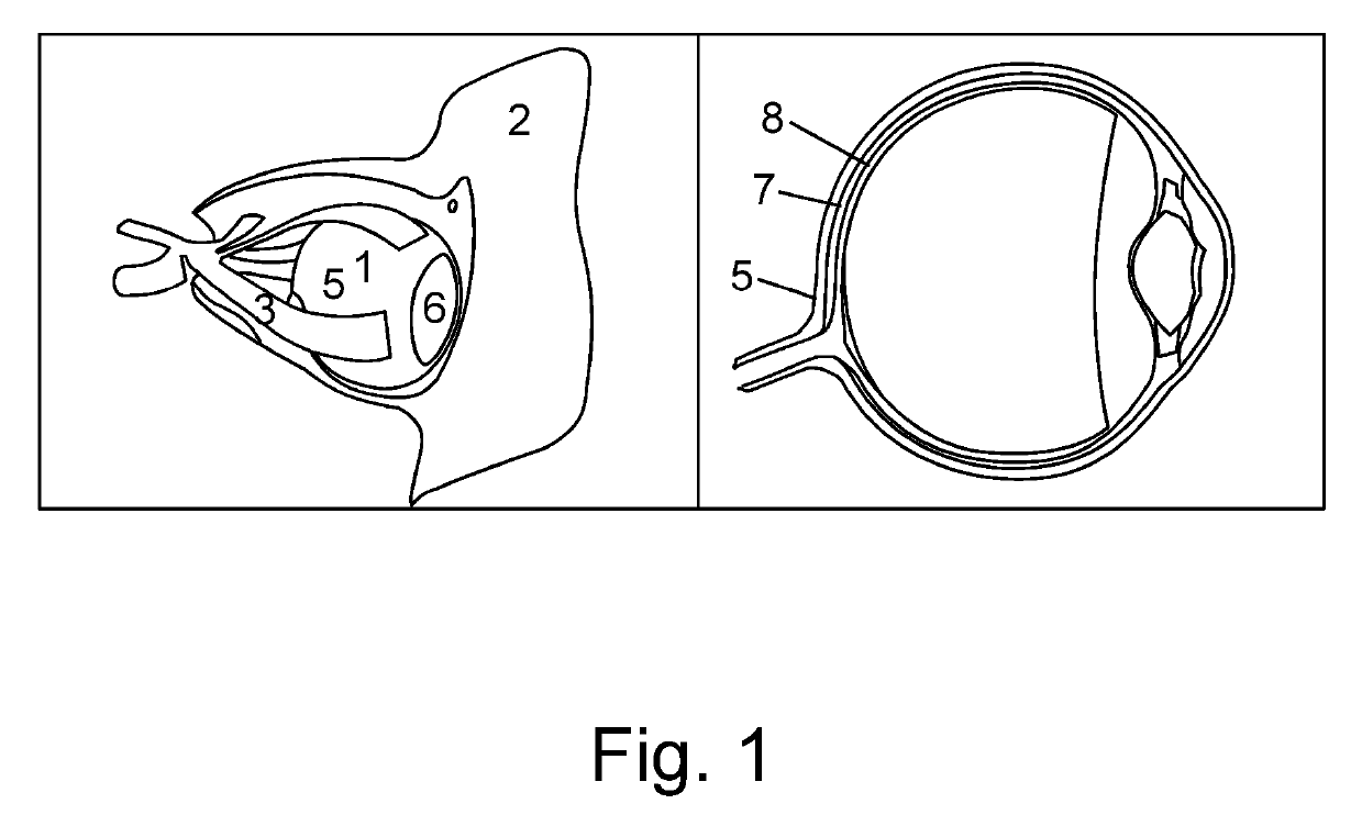 Device for a medical treatment of a sclera