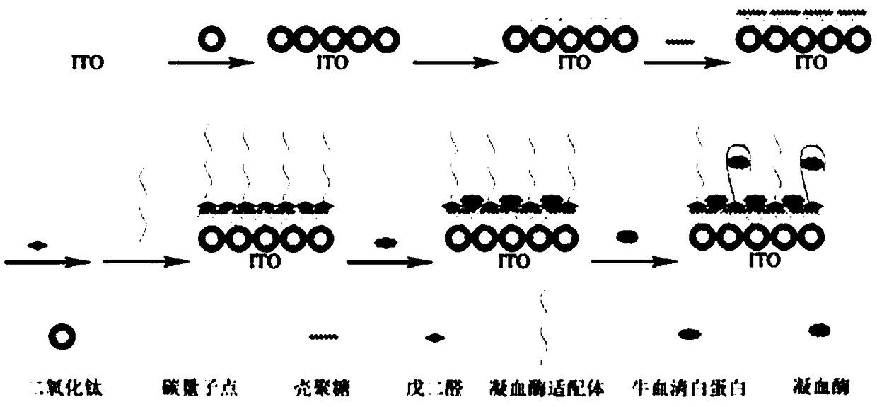 A kind of photoelectrochemical sensor and its preparation and application